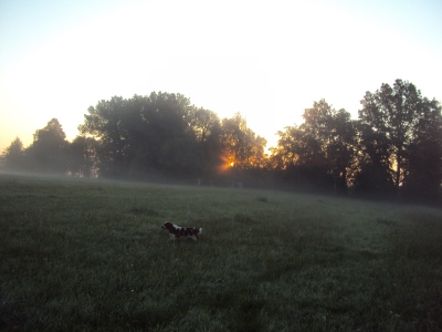 východ slunce a ranní mlha