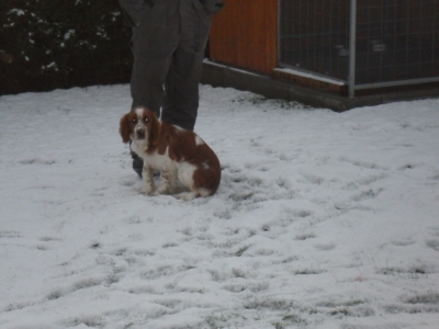 Bruno, listopad 2012